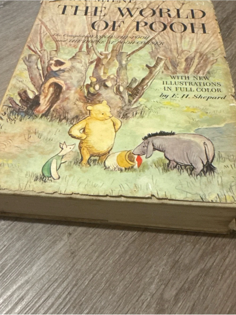 The World of Pooh A A Milne 1957 Illustrated Book, Hardcover With Dust Jacket